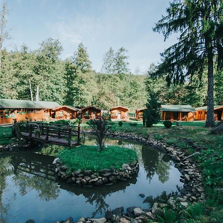 Отель Vidra Park Sicasau Экстерьер фото