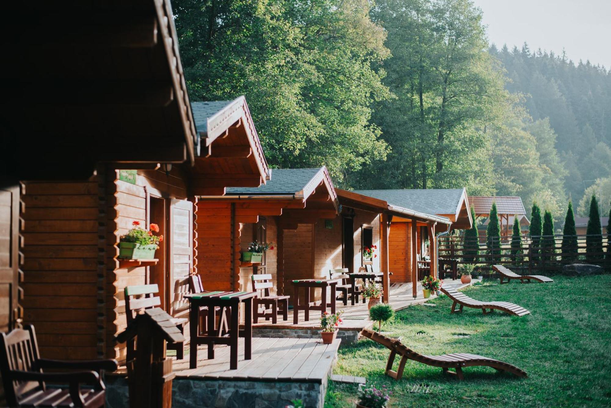 Отель Vidra Park Sicasau Экстерьер фото