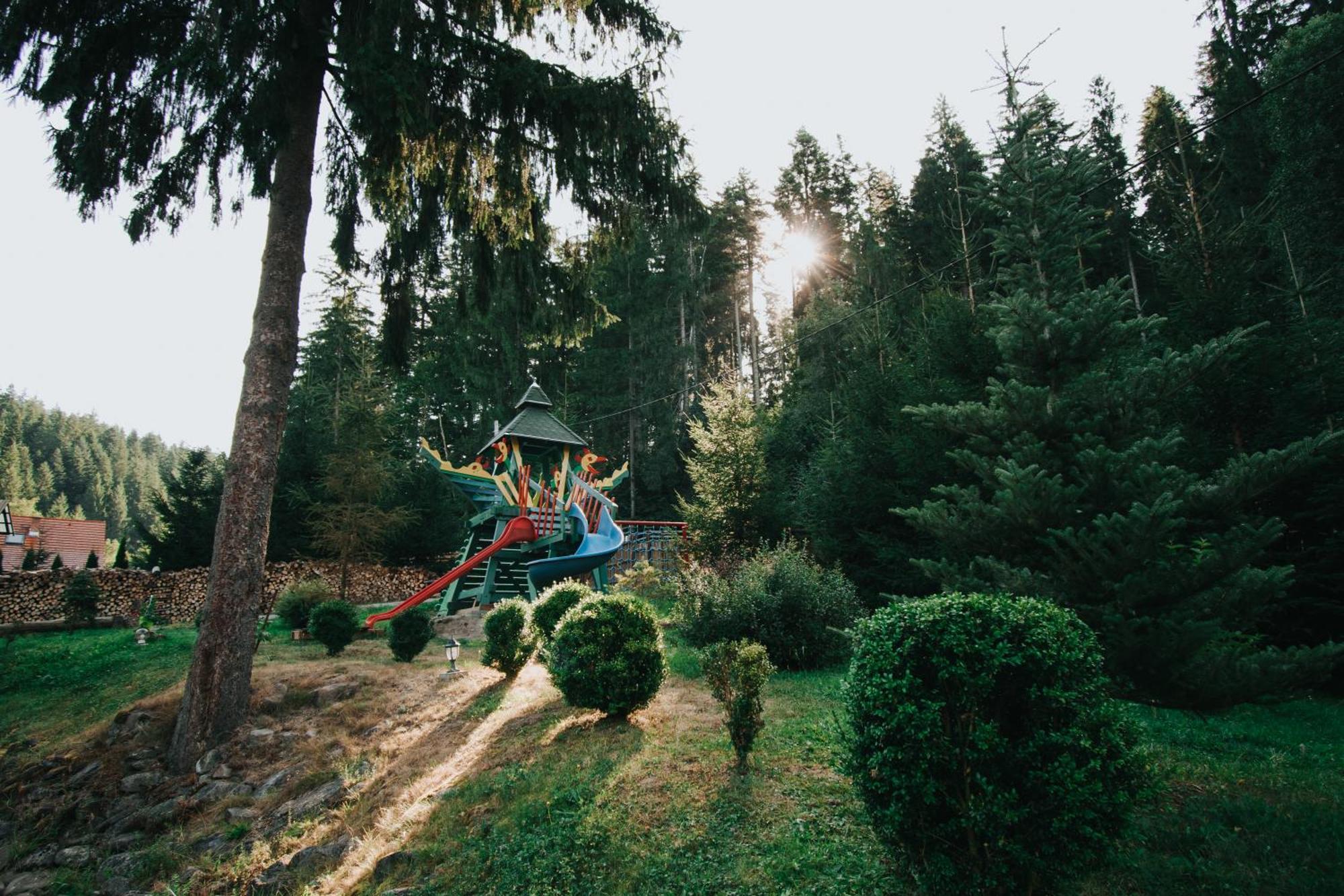 Отель Vidra Park Sicasau Экстерьер фото