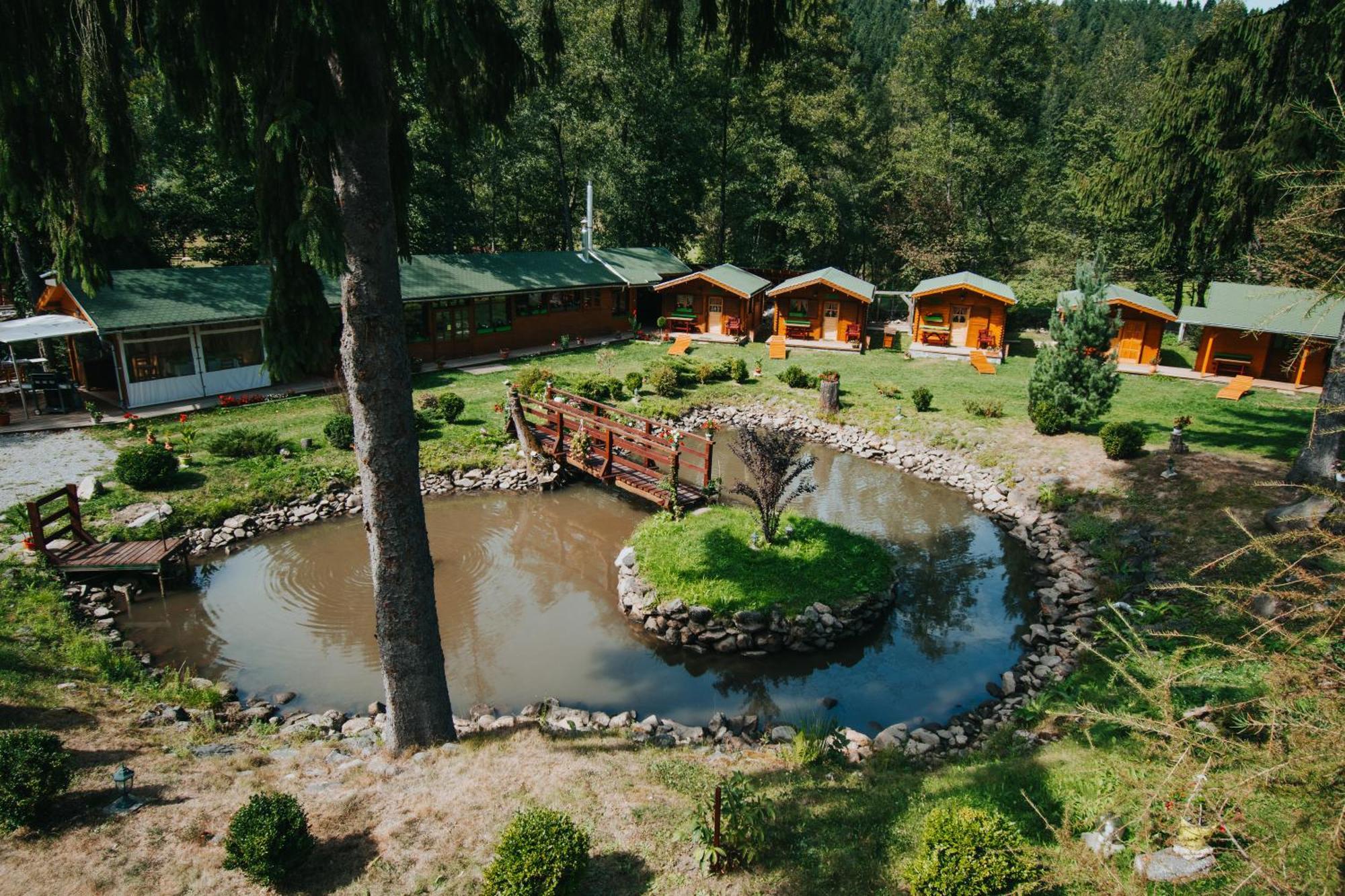 Отель Vidra Park Sicasau Экстерьер фото