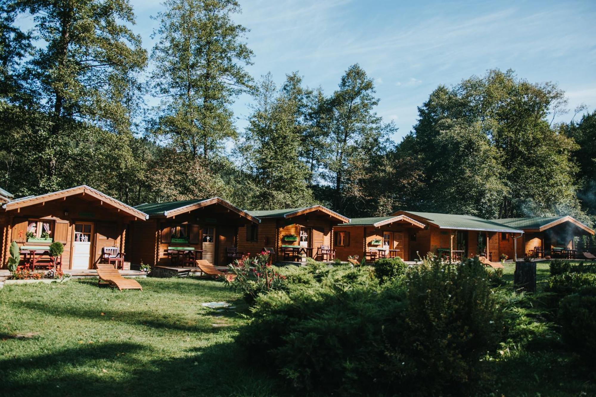 Отель Vidra Park Sicasau Экстерьер фото