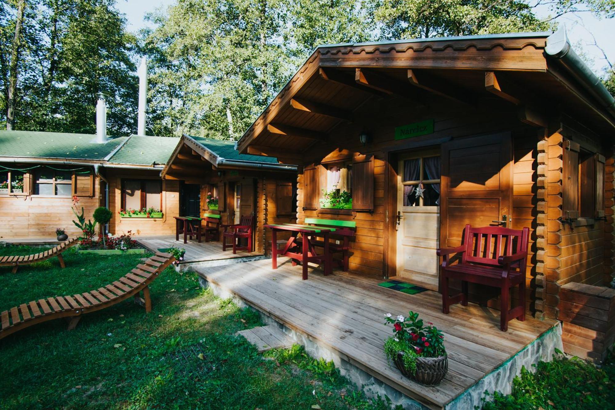 Отель Vidra Park Sicasau Экстерьер фото