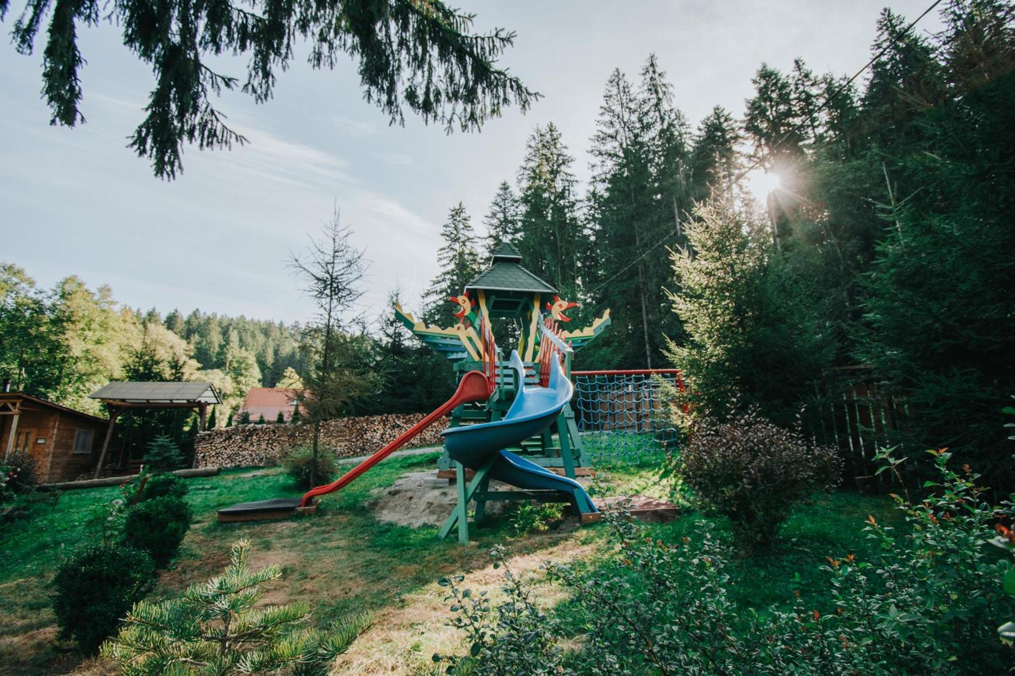 Отель Vidra Park Sicasau Экстерьер фото