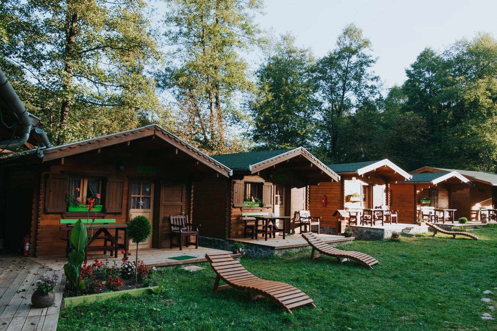 Отель Vidra Park Sicasau Экстерьер фото