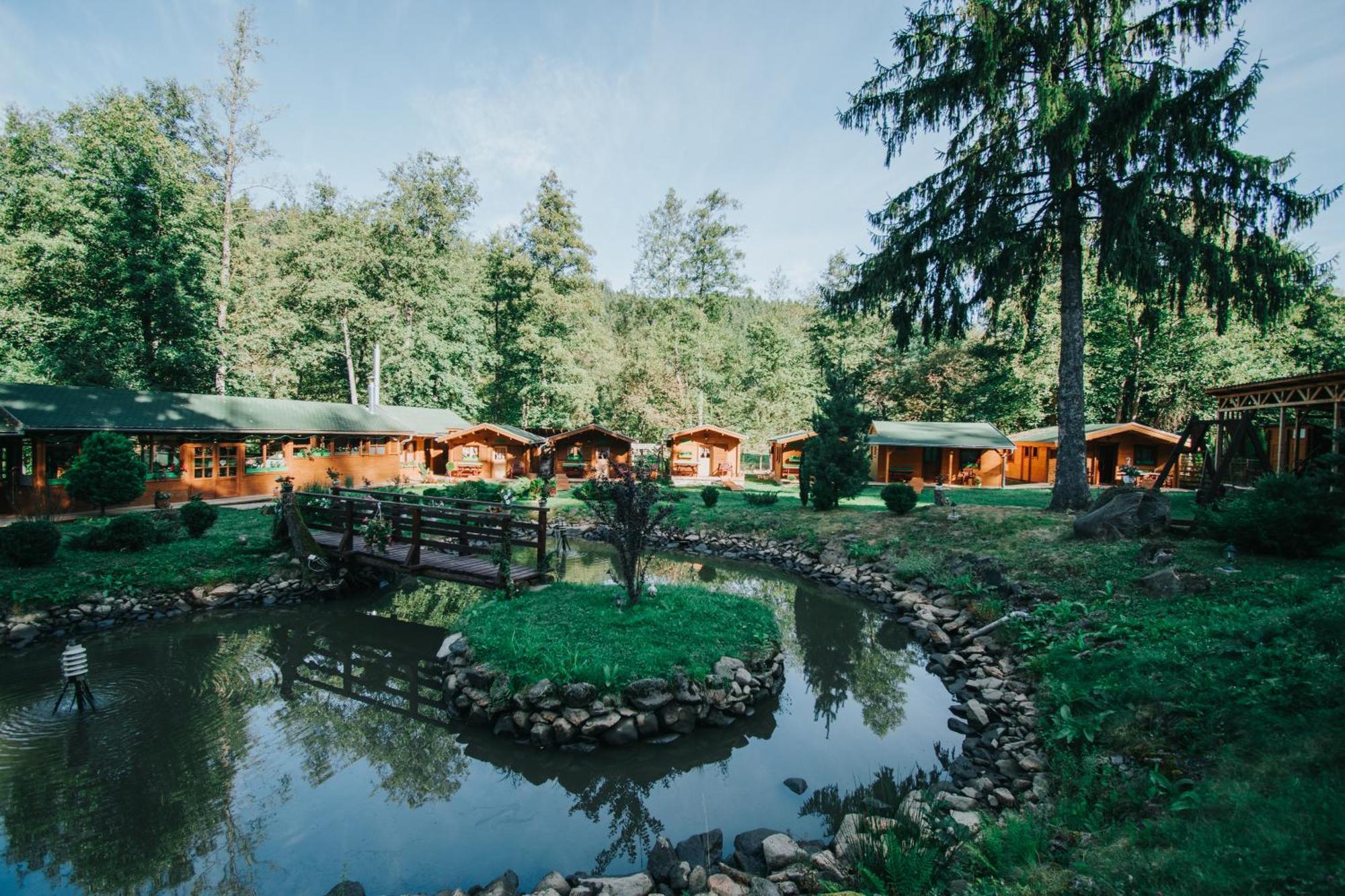 Отель Vidra Park Sicasau Экстерьер фото