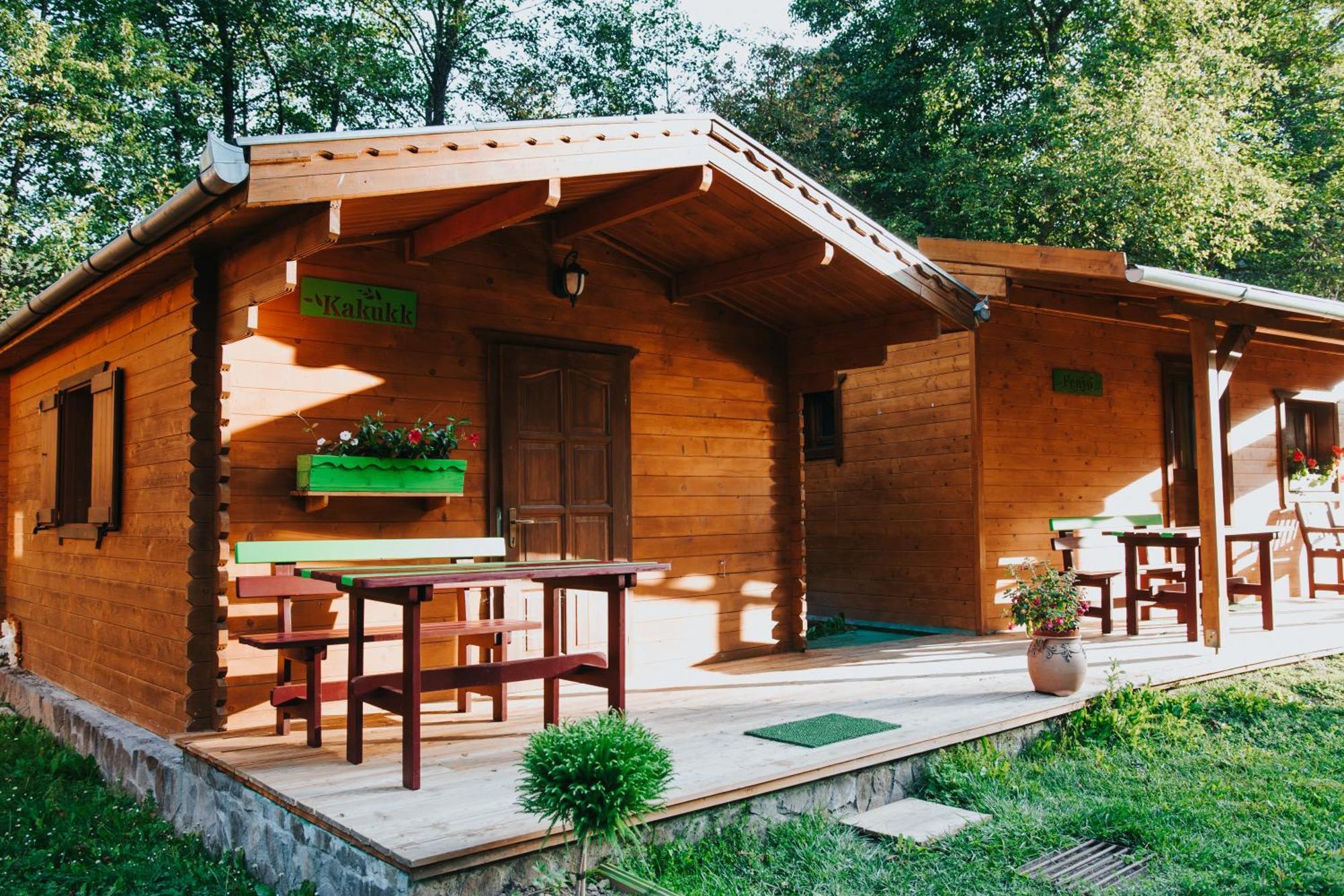 Отель Vidra Park Sicasau Экстерьер фото