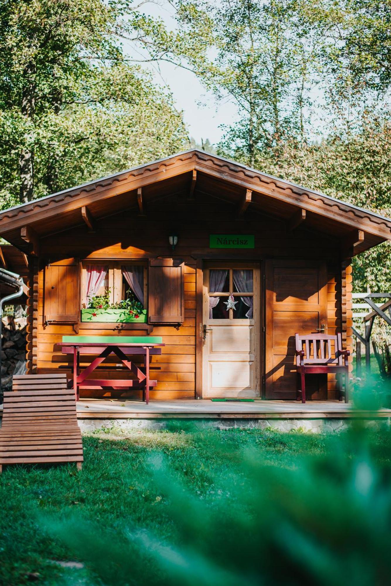 Отель Vidra Park Sicasau Экстерьер фото