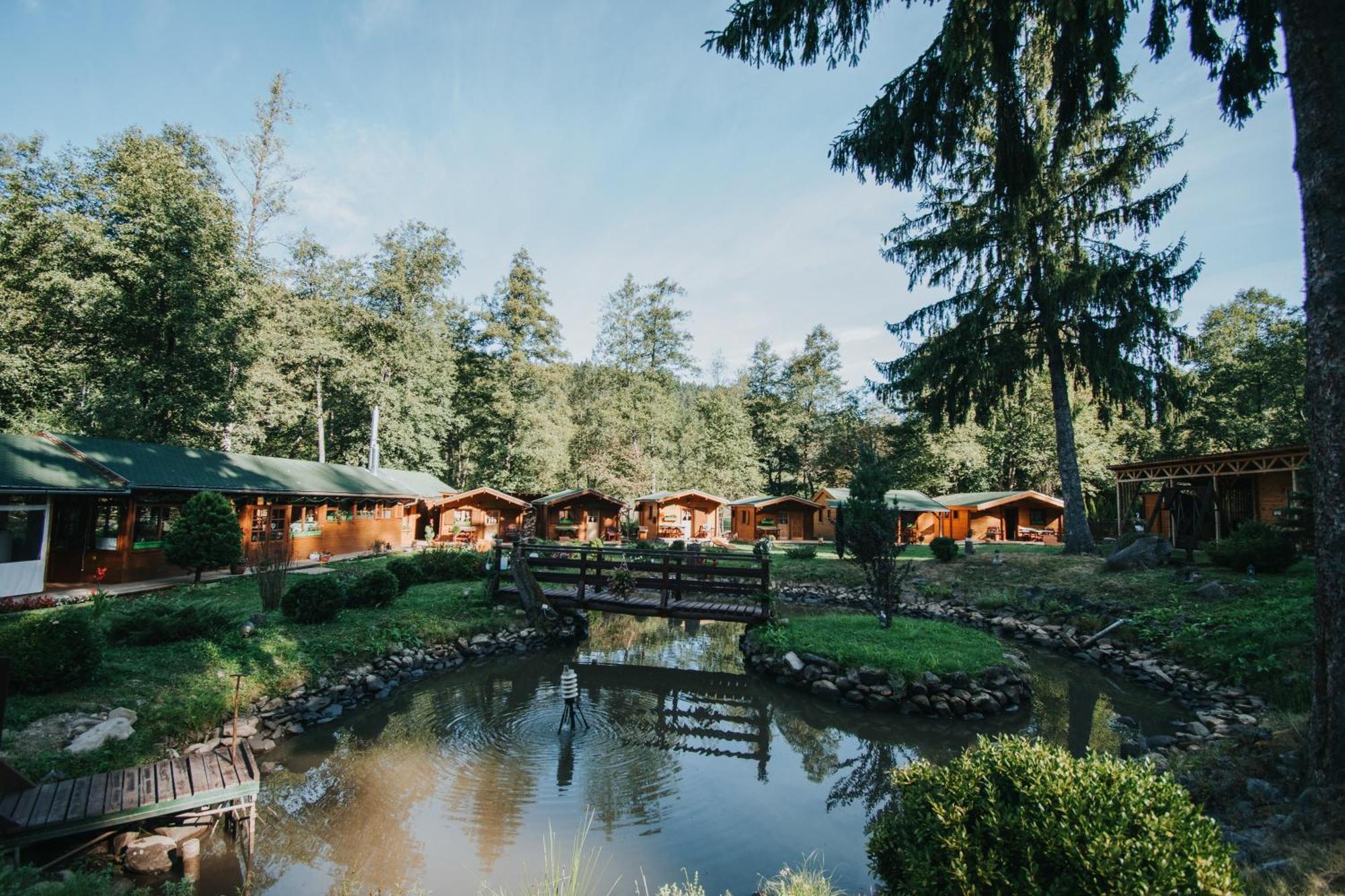 Отель Vidra Park Sicasau Экстерьер фото