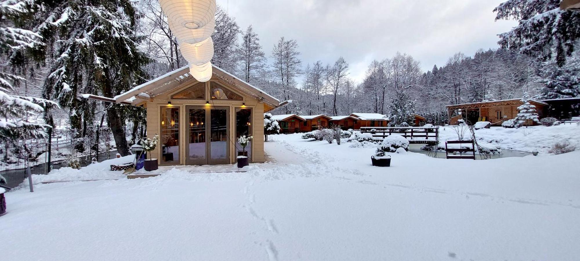 Отель Vidra Park Sicasau Экстерьер фото